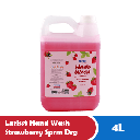 LARISST HAND WASH STRAWBERRY SPRM DRG 4L